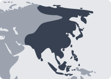 Asia