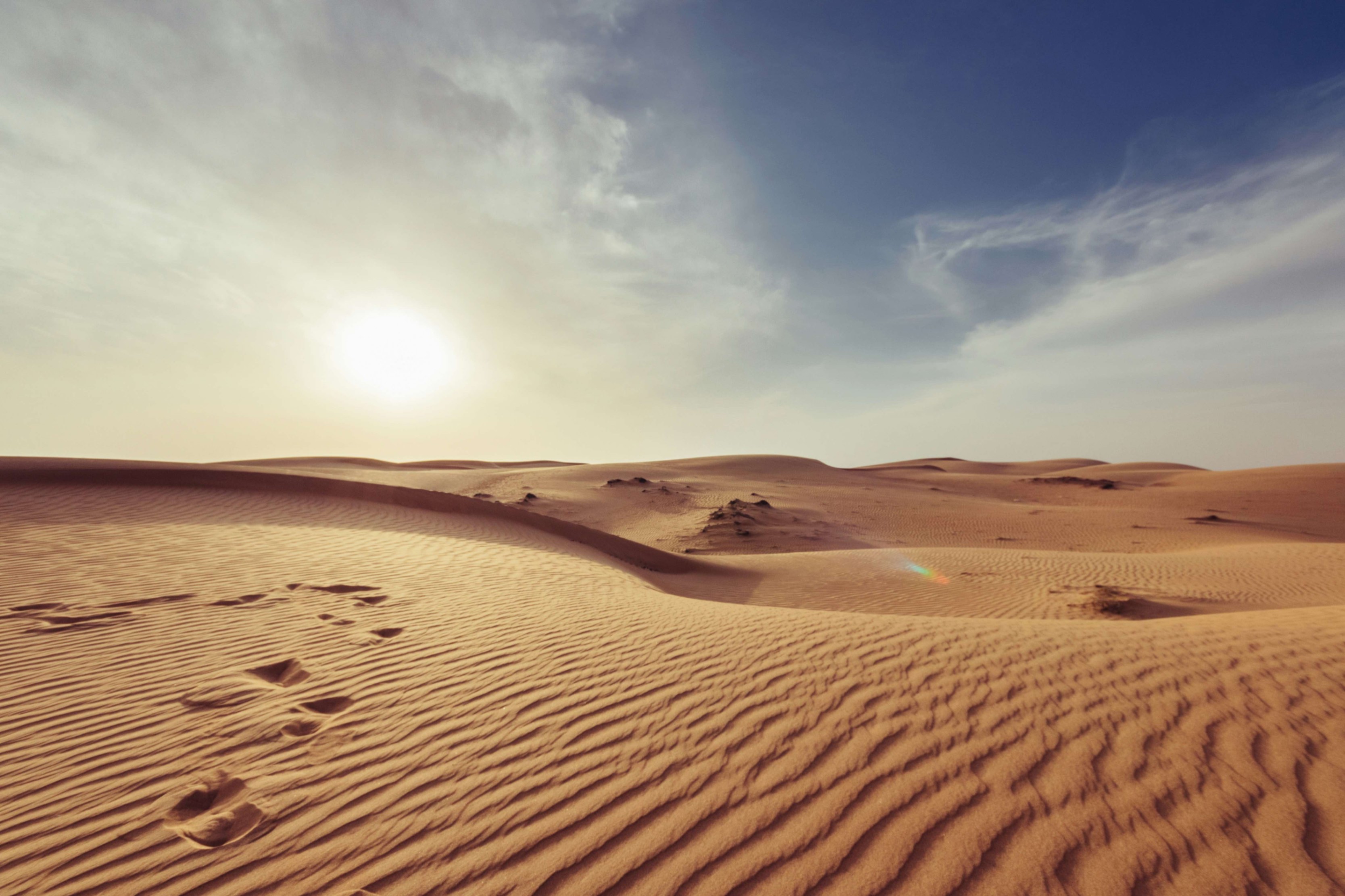 Middle East and North Africa